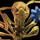 Illustration for article titled Some of the Years Most Startling Science Images